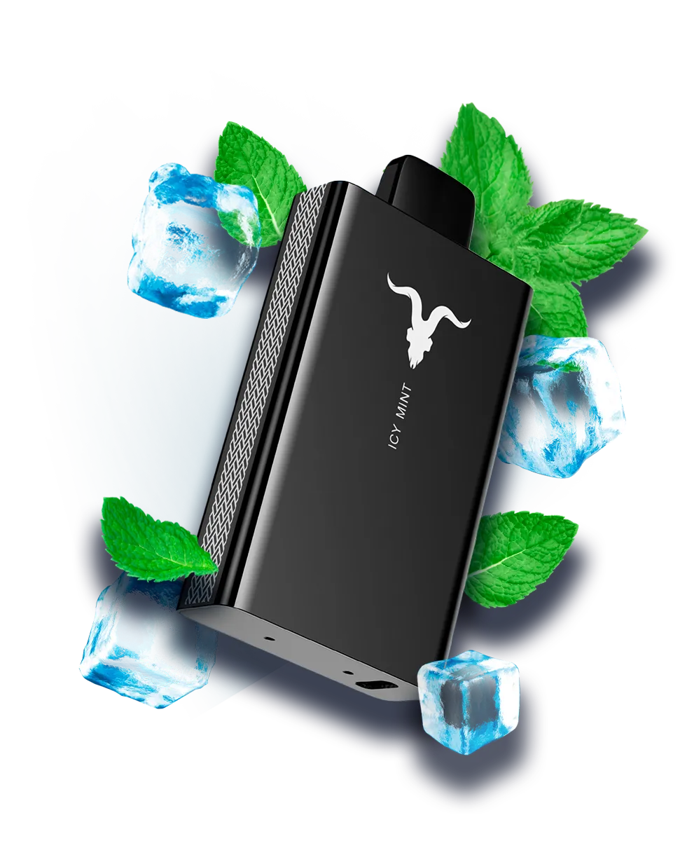 Ignite v80 - Icy mint